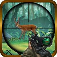 Animal Hunter - Deer Hunting