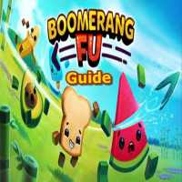 Boomerang fu guide and tips