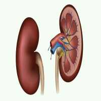 Home Remedies For Kidney Stones on 9Apps