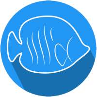 AQUAStore - Online Aquarium & Pets Shop