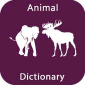 Anim Dictionary on 9Apps