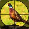 Pheasant Shooter: Crossbow Birds Hunting FPS Games