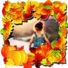 Autumn Photo Frames on 9Apps