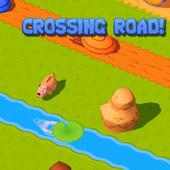 Crossing Road