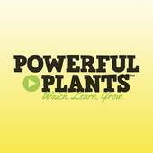 Powerful Plants
