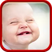 Funny Video Clips HD APK Download 2023 - Free - 9Apps