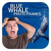 Blue Whale Photo Frames