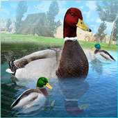 Duck Family Simulator
