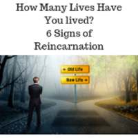 Reincarnation on 9Apps