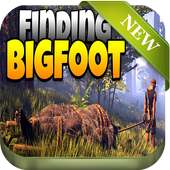 Guide For Finding Bigfoot