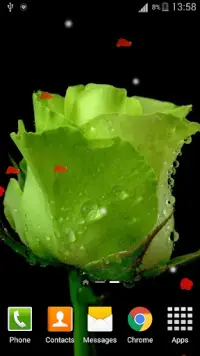 3D Rose Live Wallpaper HD APK Download 2023 - Free - 9Apps 3D Rose Live Wallpaper HD APK Download 2023 - Free - 9Apps