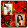 Red Rose Photo Collage Frames on 9Apps