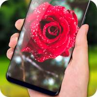 Rose Live Wallpaper 2018: HD Flower Backgrounds