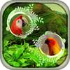 Nature Dual Photo Frame on 9Apps