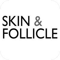 Skin and Follicle