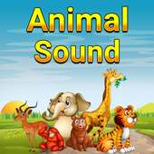 Animal Sound Ringtone
