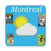 Montreal, Quebec - weather, sights and souds on 9Apps