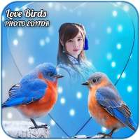 Love Birds Photo Editor on 9Apps
