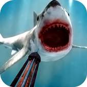 Fish Hunting Adventure - 3D Shark shooting