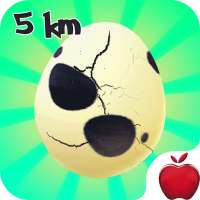 Egg Hatching Poke Gen 2 :  5 Km