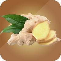 Amazing Benefits of Ginger on 9Apps