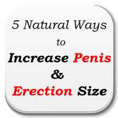 Natural Ways to Increase Penis