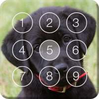 Cute Black Labrador Puppies Screen Lock on 9Apps
