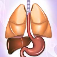 Tuberculosis TB Symptoms Causes & Diet Help on 9Apps