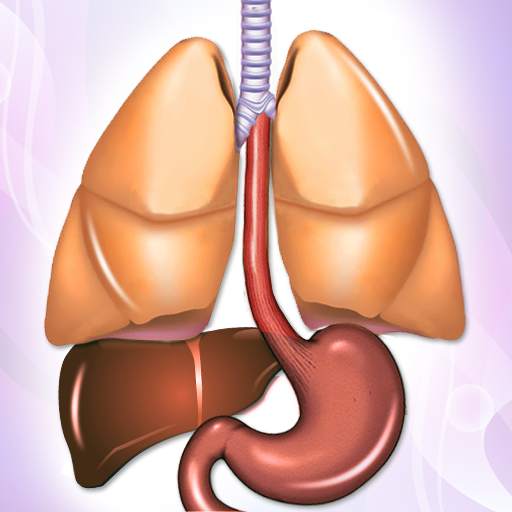 Tuberculosis TB Symptoms Causes & Diet Help