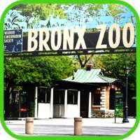 Bronx Zoo App Free