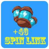  40 Spin Link