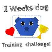 Dog training - Take 2 Week dog training challenge