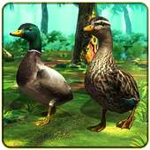 Duck Family Simulator 3D