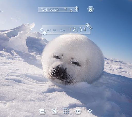 Wallpaper  seal fat lying 3979x2653  goodfon  1188154  HD Wallpapers   WallHere