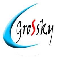 Grossky Group of Companies on 9Apps
