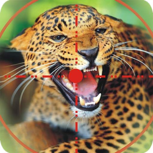 Wild Animal Hunting Game : Sniper Mission