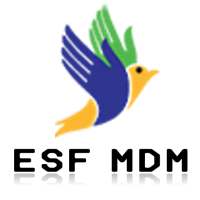 ESF MDM on 9Apps