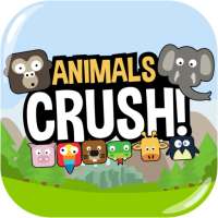 animal crush
