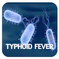 Typhoid Fever Disease on 9Apps