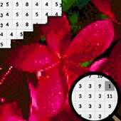 Plumeria Flowers Color By Number-Pixel Art 2020