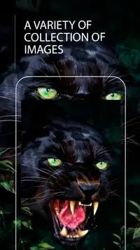 Tải xuống ứng dụng Hình nền Black Panther 2023 - Miễn phí - 9Apps