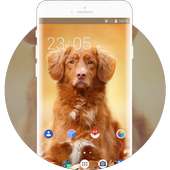 Theme for Nokia XL 4G Dog Wallpaper