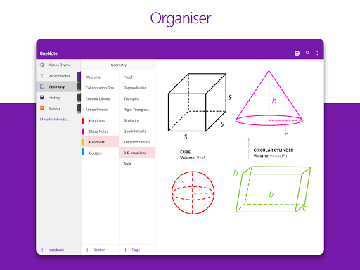 Microsoft OneNote : Organisez vos idées et notes screenshot 11
