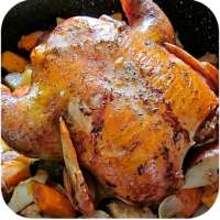 Recettes Poulet on 9Apps