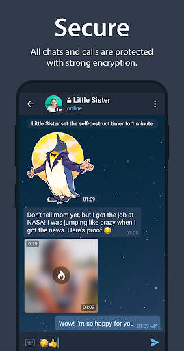 Telegram screenshot 6