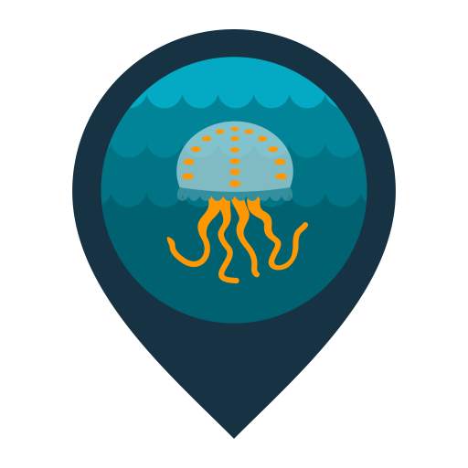 InfoJellyfish