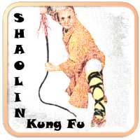 Shaolin Kung Fu on 9Apps