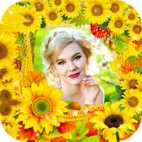 Sunflower Photo Frame on 9Apps