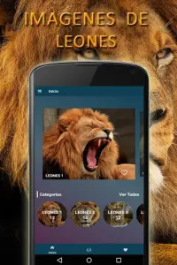 Descarga de la aplicación fondos de pantalla de leones gratis 2023 - Gratis  - 9Apps