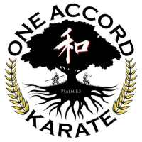 One Accord Karate on 9Apps